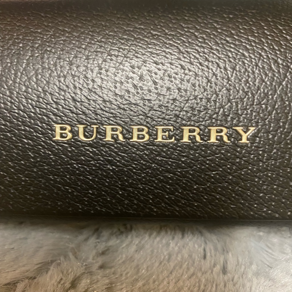 Burberry Sunglasses/Eyeglass Case. New!